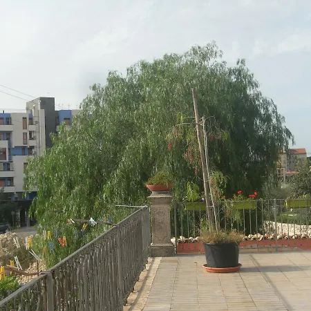 Garden 3*